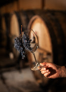 აპასიმენტო რეზერვი 2016 - სასაჩუქრე 6 ბოთლი ხის ყუთით